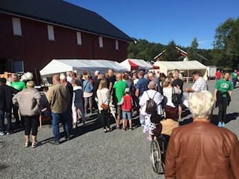 En utrolig bra innsats fra alle på Lågendalsmarkedet